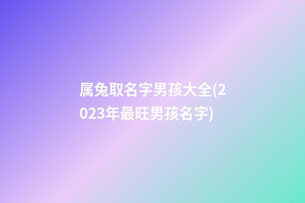 属兔取名字男孩大全(2023年最旺男孩名字)
