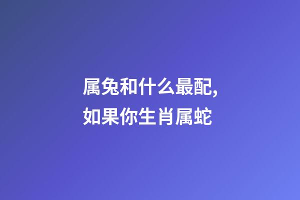 属兔和什么最配,如果你生肖属蛇-第1张-观点-玄机派