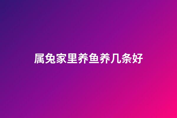 属兔家里养鱼养几条好
