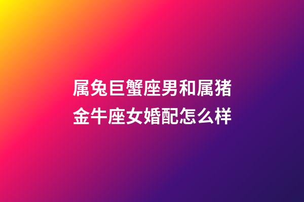 属兔巨蟹座男和属猪金牛座女婚配怎么样-第1张-星座运势-玄机派