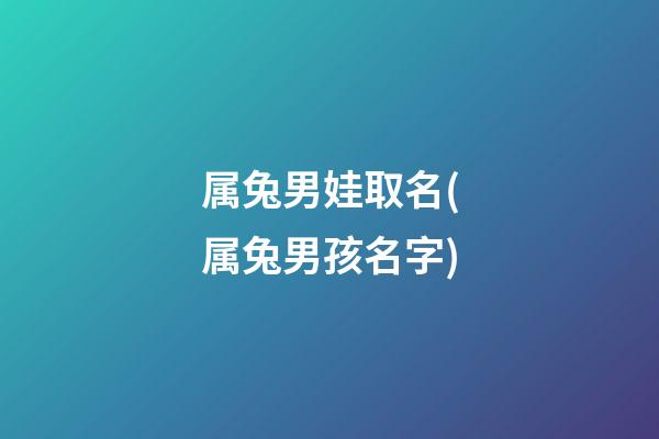 属兔男娃取名(属兔男孩名字)