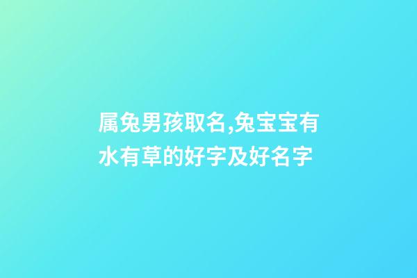 属兔男孩取名,兔宝宝有水有草的好字及好名字-第1张-观点-玄机派