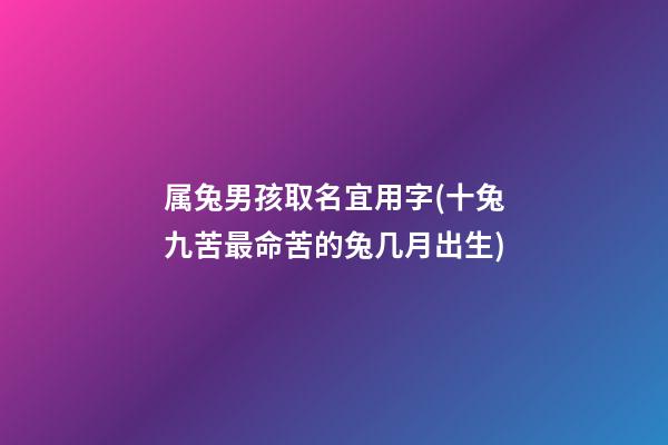 属兔男孩取名宜用字(十兔九苦最命苦的兔几月出生)