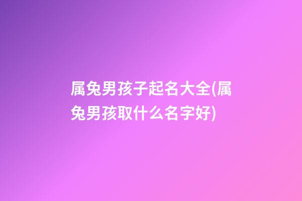 属兔男孩子起名大全(属兔男孩取什么名字好)