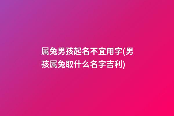 属兔男孩起名不宜用字(男孩属兔取什么名字吉利)