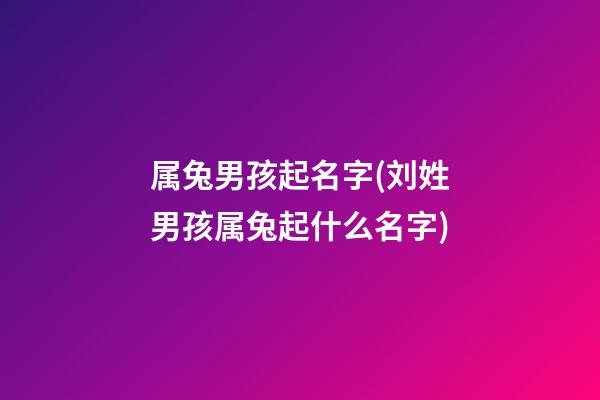 属兔男孩起名字(刘姓男孩属兔起什么名字)