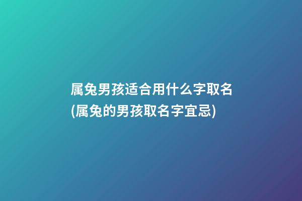 属兔男孩适合用什么字取名(属兔的男孩取名字宜忌)