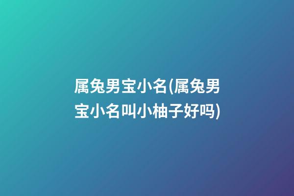 属兔男宝小名(属兔男宝小名叫小柚子好吗)