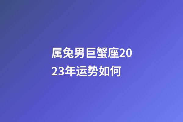 属兔男巨蟹座2023年运势如何-第1张-星座运势-玄机派