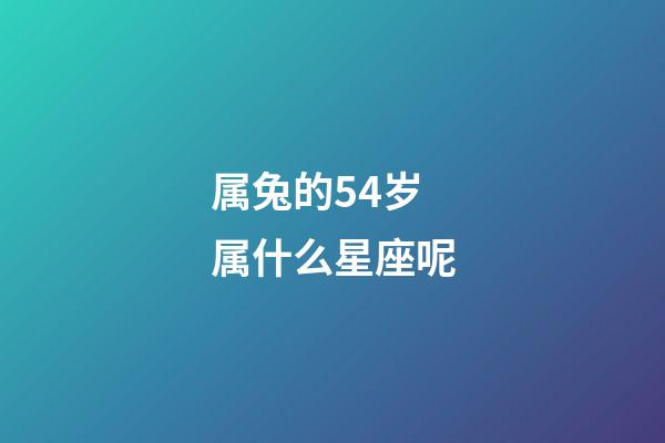 属兔的54岁属什么星座呢