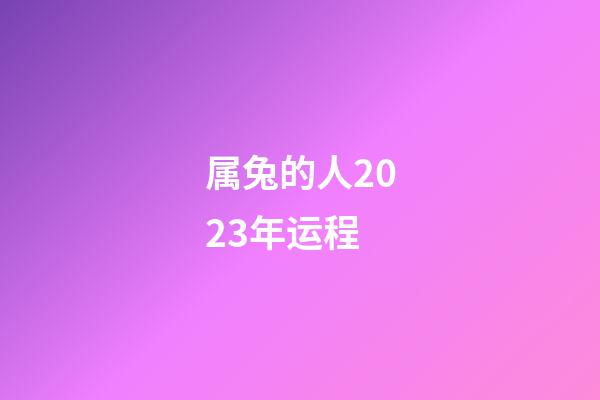 属兔的人2023年运程（63年属兔人2023年运程）-第1张-星座运势-玄机派