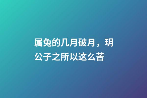 属兔的几月破月，玥公子之所以这么苦-第1张-观点-玄机派