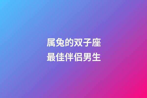 属兔的双子座最佳伴侣男生-第1张-星座运势-玄机派