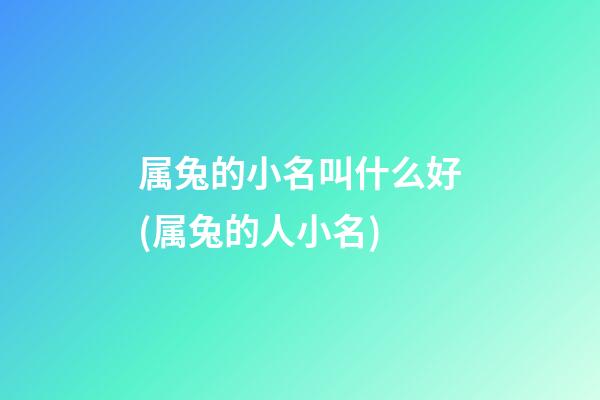 属兔的小名叫什么好(属兔的人小名)