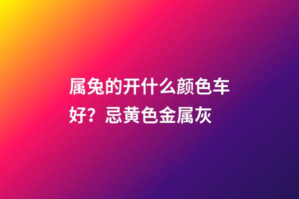 属兔的开什么颜色车好？忌黄色金属灰