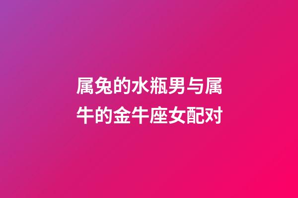 属兔的水瓶男与属牛的金牛座女配对-第1张-星座运势-玄机派