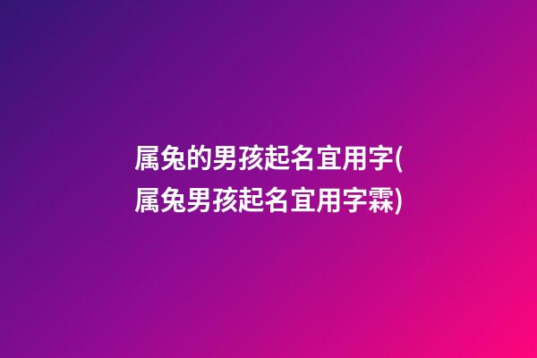 属兔的男孩起名宜用字(属兔男孩起名宜用字霖)