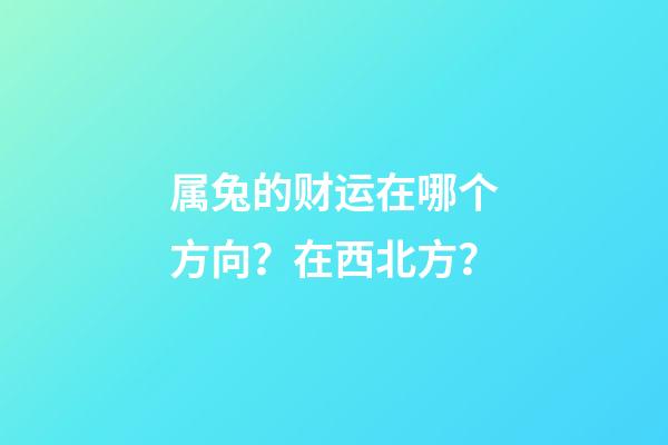 属兔的财运在哪个方向？在西北方？