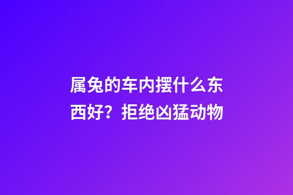 属兔的车内摆什么东西好？拒绝凶猛动物