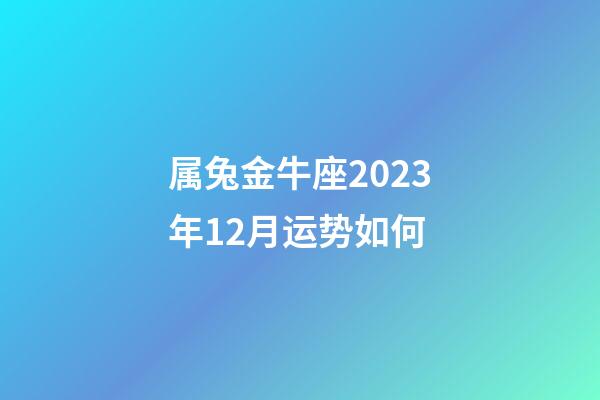 属兔金牛座2023年12月运势如何-第1张-星座运势-玄机派