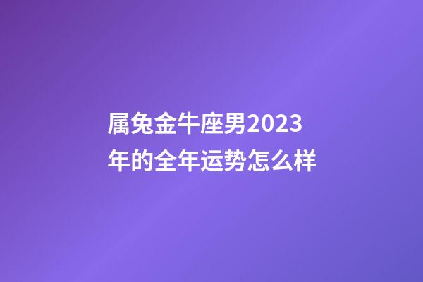 属兔金牛座男2023年的全年运势怎么样-第1张-星座运势-玄机派