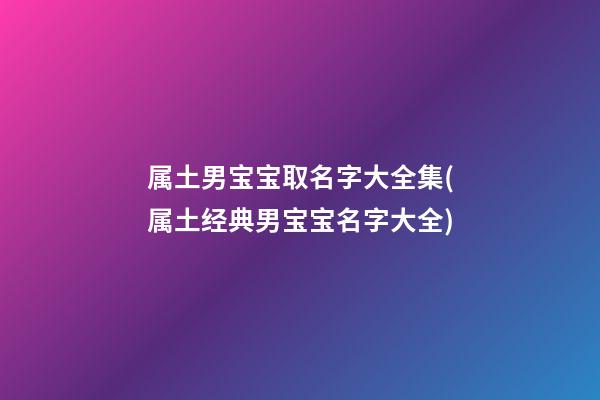 属土男宝宝取名字大全集(属土经典男宝宝名字大全)