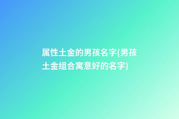 属性土金的男孩名字(男孩土金组合寓意好的名字)