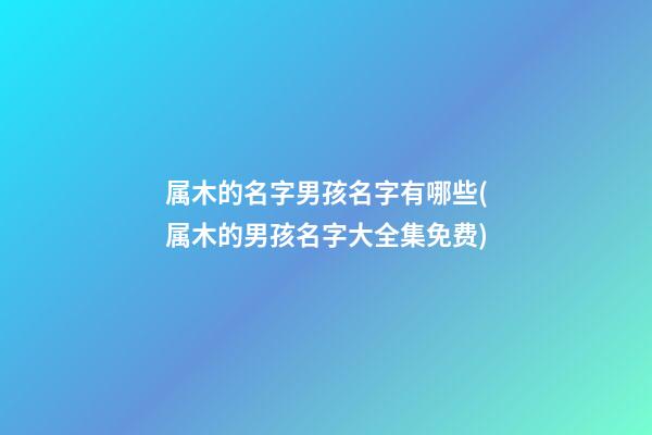 属木的名字男孩名字有哪些(属木的男孩名字大全集免费)