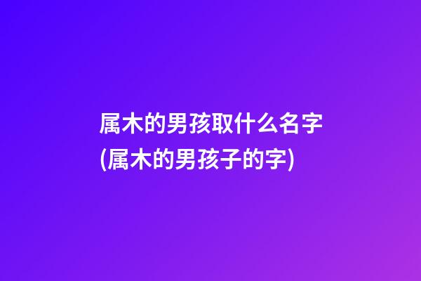 属木的男孩取什么名字(属木的男孩子的字)