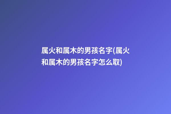 属火和属木的男孩名字(属火和属木的男孩名字怎么取)