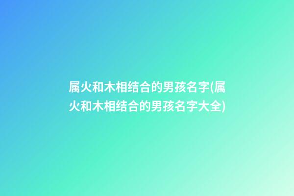 属火和木相结合的男孩名字(属火和木相结合的男孩名字大全)