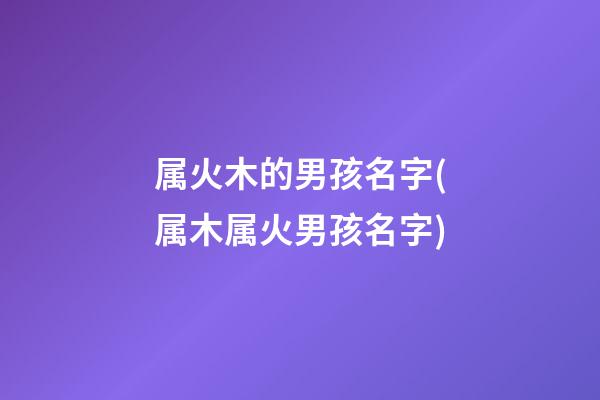 属火木的男孩名字(属木属火男孩名字)