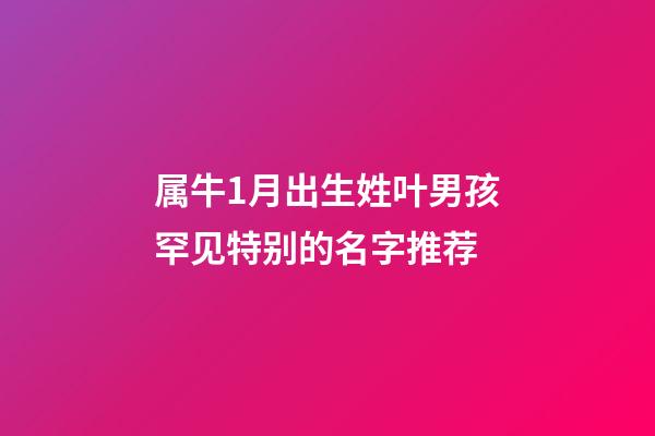 属牛1月出生姓叶男孩罕见特别的名字推荐
