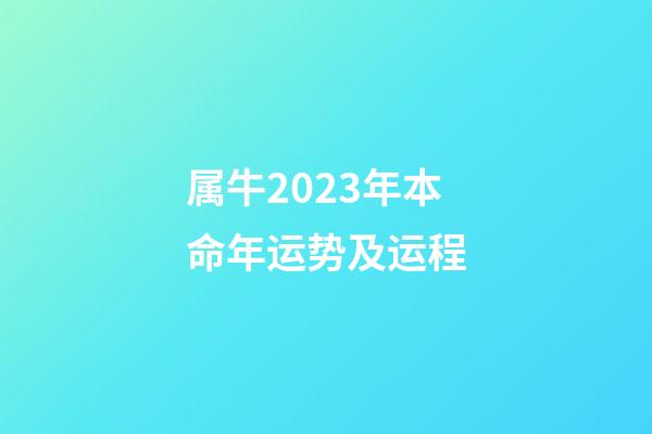 属牛2023年本命年运势及运程