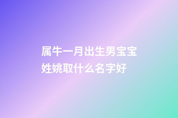 属牛一月出生男宝宝姓姚取什么名字好
