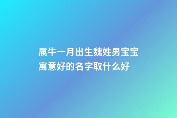 属牛一月出生魏姓男宝宝寓意好的名字取什么好