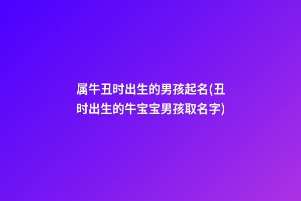 属牛丑时出生的男孩起名(丑时出生的牛宝宝男孩取名字)