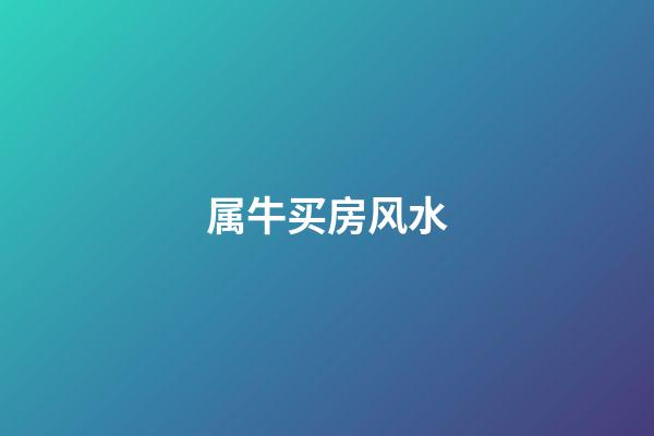 属牛买房风水