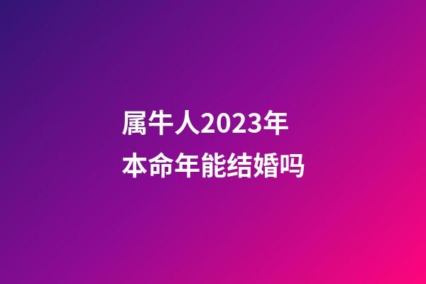 属牛人2023年本命年能结婚吗