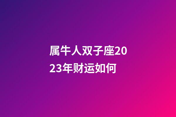 属牛人双子座2023年财运如何-第1张-星座运势-玄机派