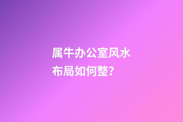 属牛办公室风水布局如何整？