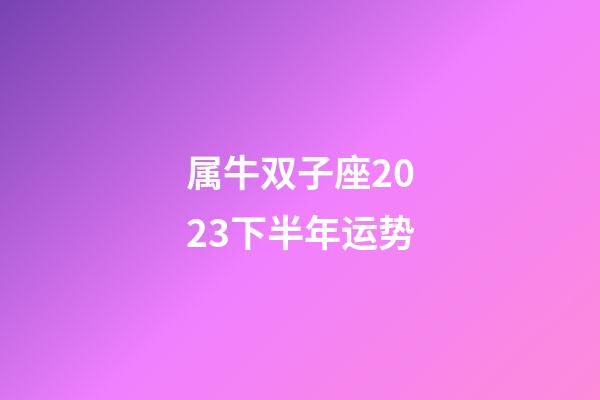 属牛双子座2023下半年运势-第1张-星座运势-玄机派