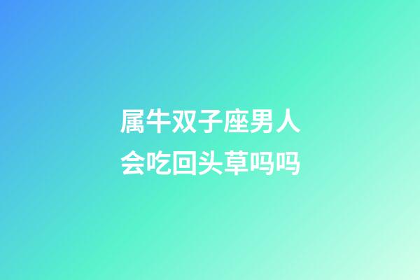 属牛双子座男人会吃回头草吗吗-第1张-星座运势-玄机派