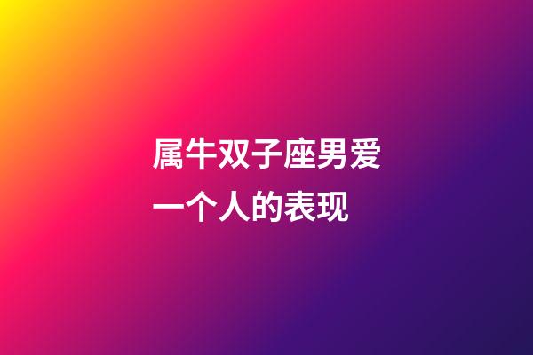 属牛双子座男爱一个人的表现-第1张-星座运势-玄机派
