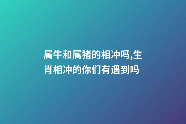 属牛和属猪的相冲吗,生肖相冲的你们有遇到吗-第1张-观点-玄机派