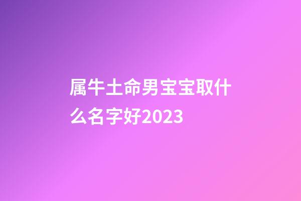 属牛土命男宝宝取什么名字好2023
