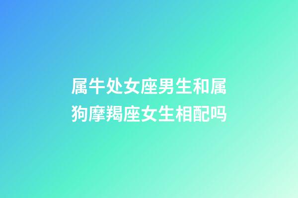 属牛处女座男生和属狗摩羯座女生相配吗-第1张-星座运势-玄机派