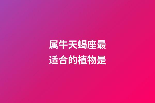 属牛天蝎座最适合的植物是-第1张-星座运势-玄机派