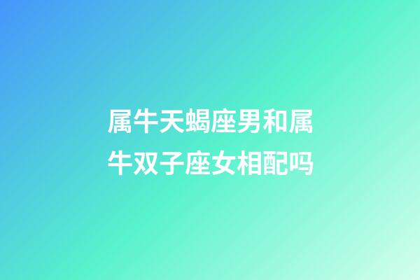 属牛天蝎座男和属牛双子座女相配吗-第1张-星座运势-玄机派