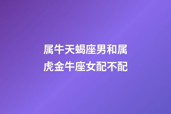 属牛天蝎座男和属虎金牛座女配不配-第1张-星座运势-玄机派